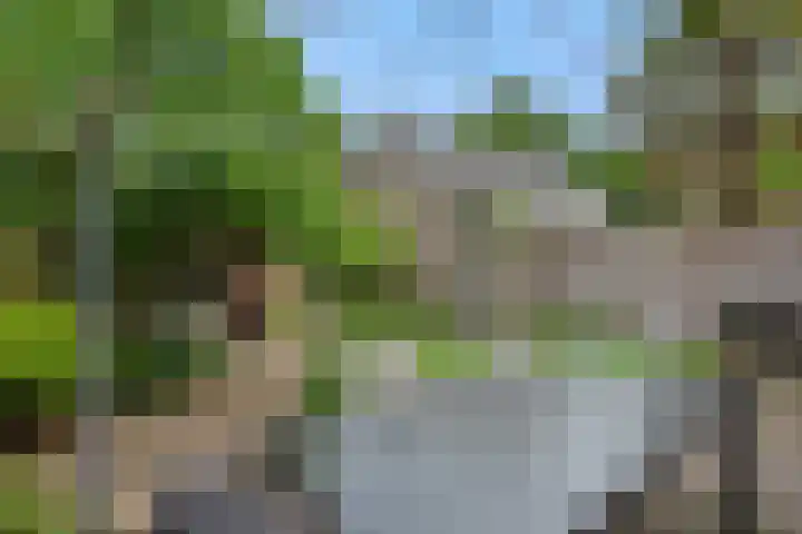 Weijer 8 Milheeze thumbnail 38