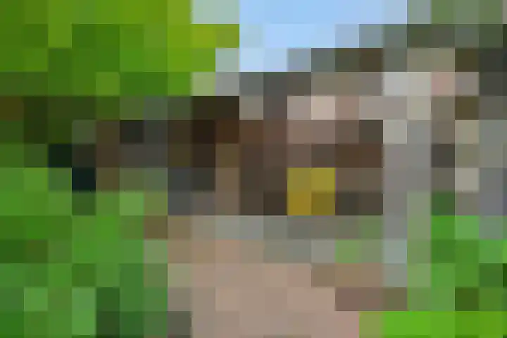 Weijer 8 Milheeze thumbnail 4
