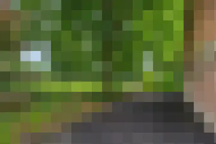 Weijer 8 Milheeze thumbnail 40