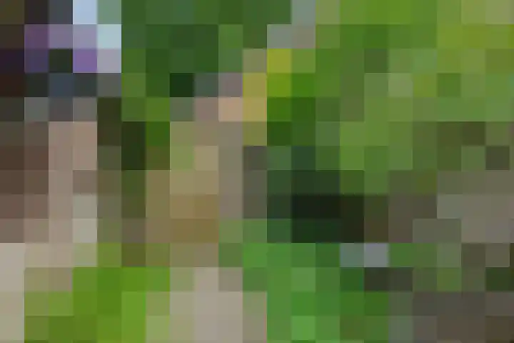 Weijer 8 Milheeze thumbnail 41