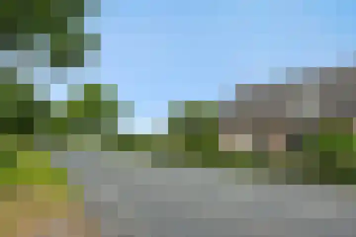Weijer 8 Milheeze thumbnail 45