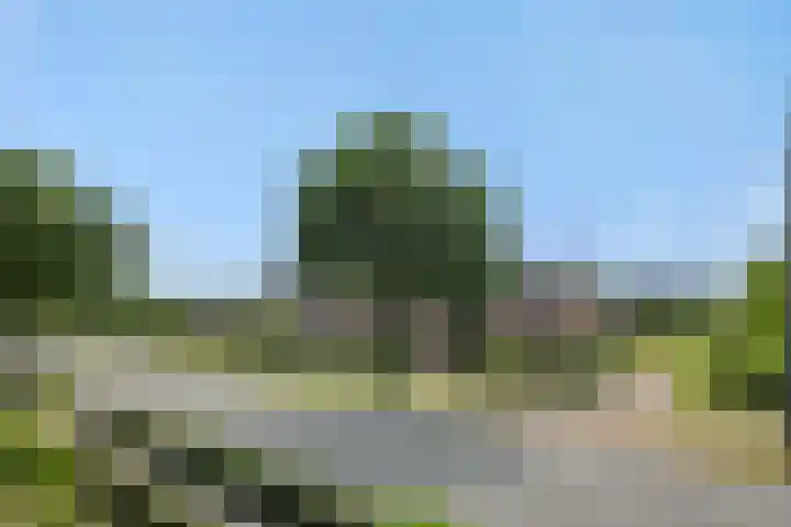 Weijer 8 Milheeze thumbnail 47