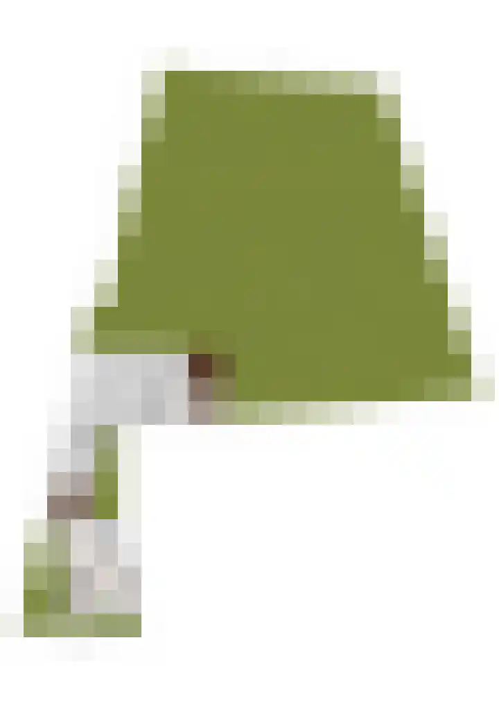 Weijer 8 Milheeze thumbnail 58