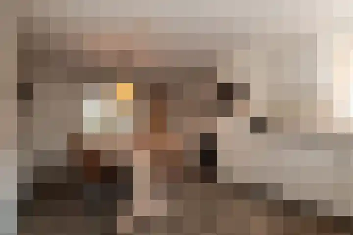 Weijerdstraat 21 Rijssen thumbnail 13