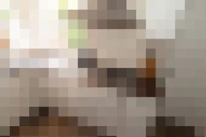 Weijerdstraat 21 Rijssen thumbnail 15