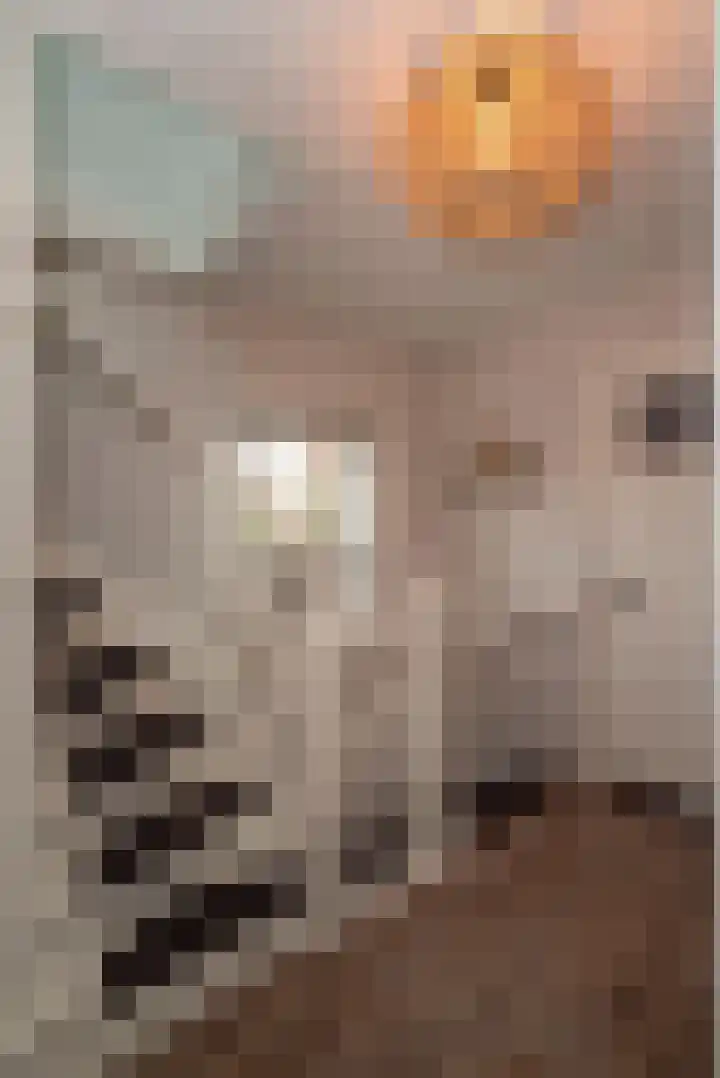 Weijerdstraat 21 Rijssen thumbnail 25