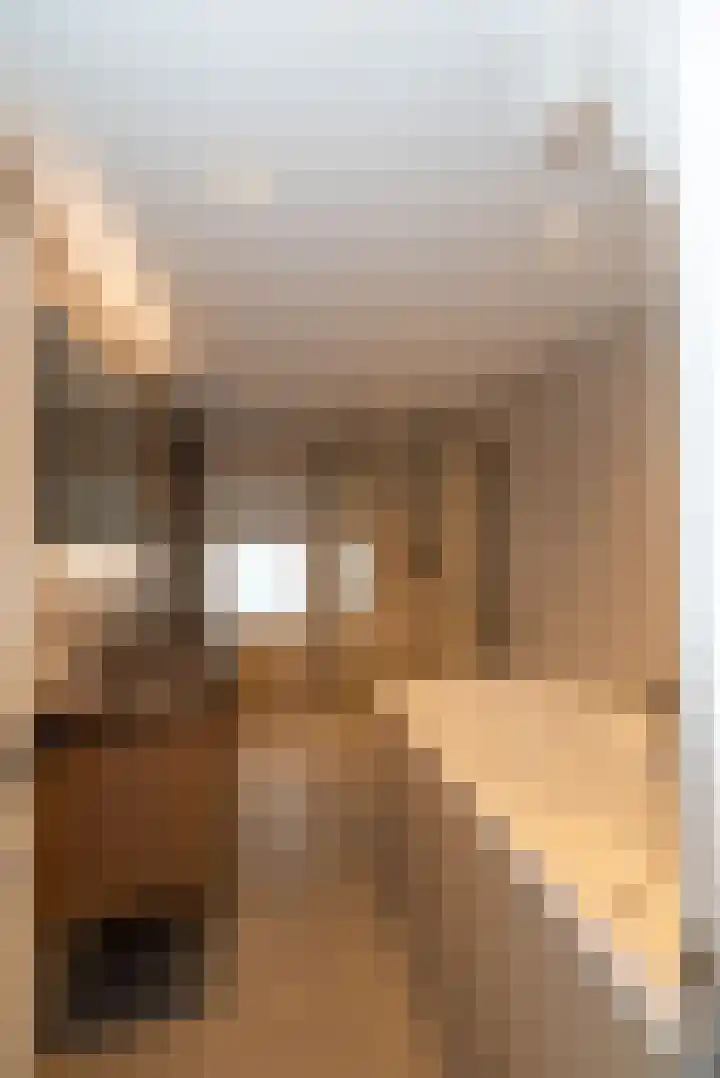 Weijerdstraat 21 Rijssen thumbnail 31