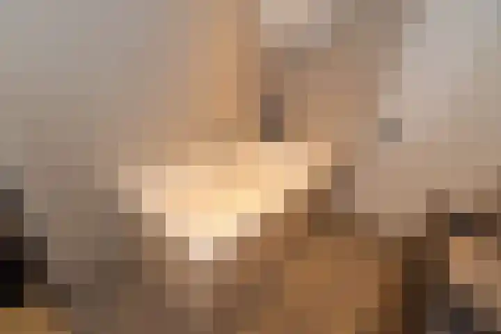 Weijerdstraat 21 Rijssen thumbnail 33