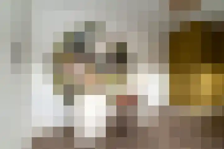 Weijerdstraat 21 Rijssen thumbnail 39