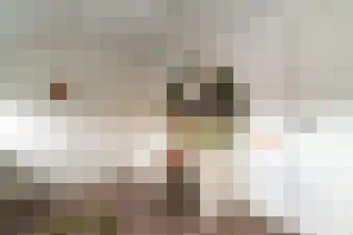 Weijerdstraat 21 Rijssen thumbnail 40
