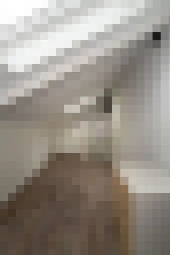 Weijerdstraat 21 Rijssen thumbnail 42