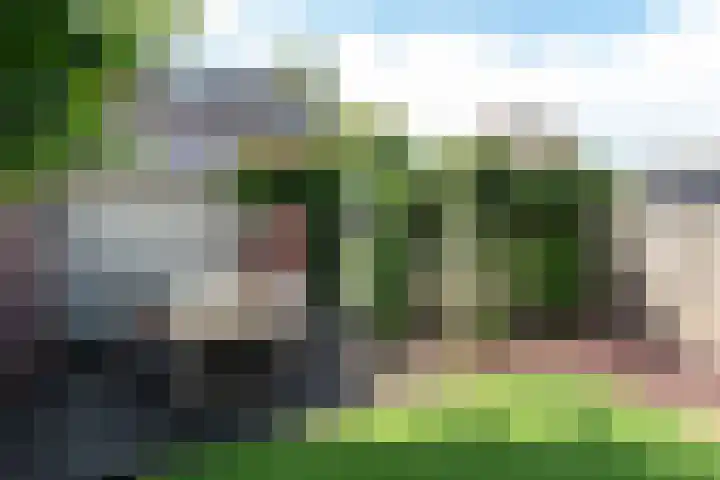 Weijerdstraat 21 Rijssen thumbnail 47