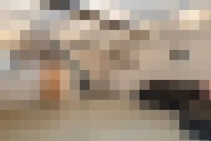 Weijerdstraat 21 Rijssen thumbnail 50