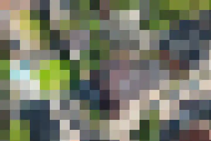 Weijerdstraat 21 Rijssen thumbnail 58