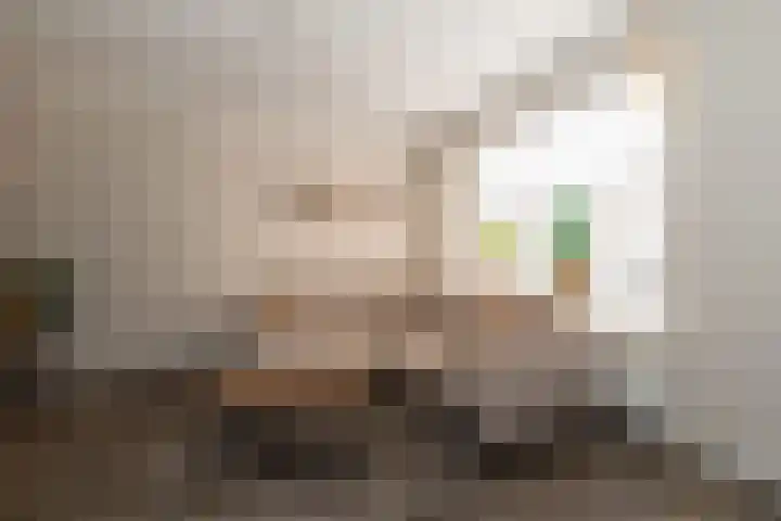 Weijerdstraat 21 Rijssen thumbnail 6