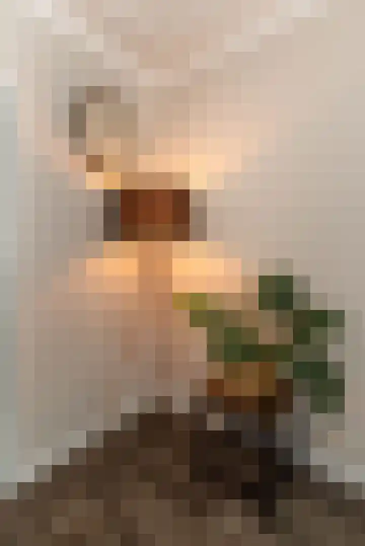 Weijerdstraat 21 Rijssen thumbnail 9