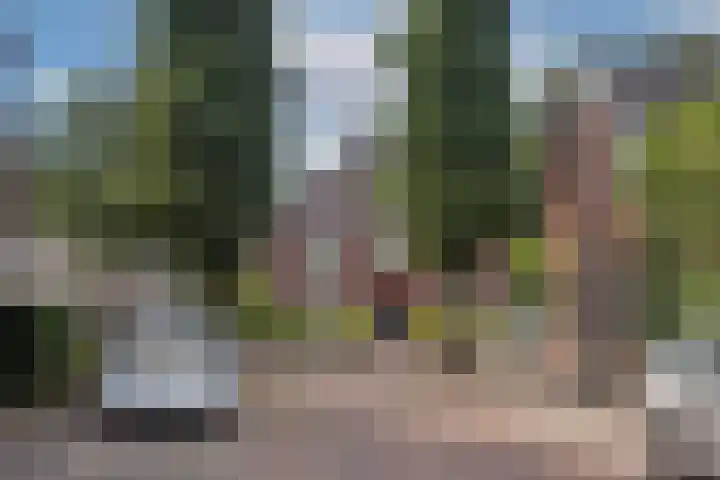 Weijerdstraat 26 Rijssen thumbnail 24