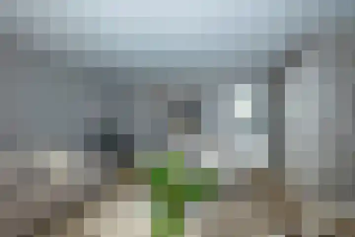 Weijerdstraat 26 Rijssen thumbnail 4