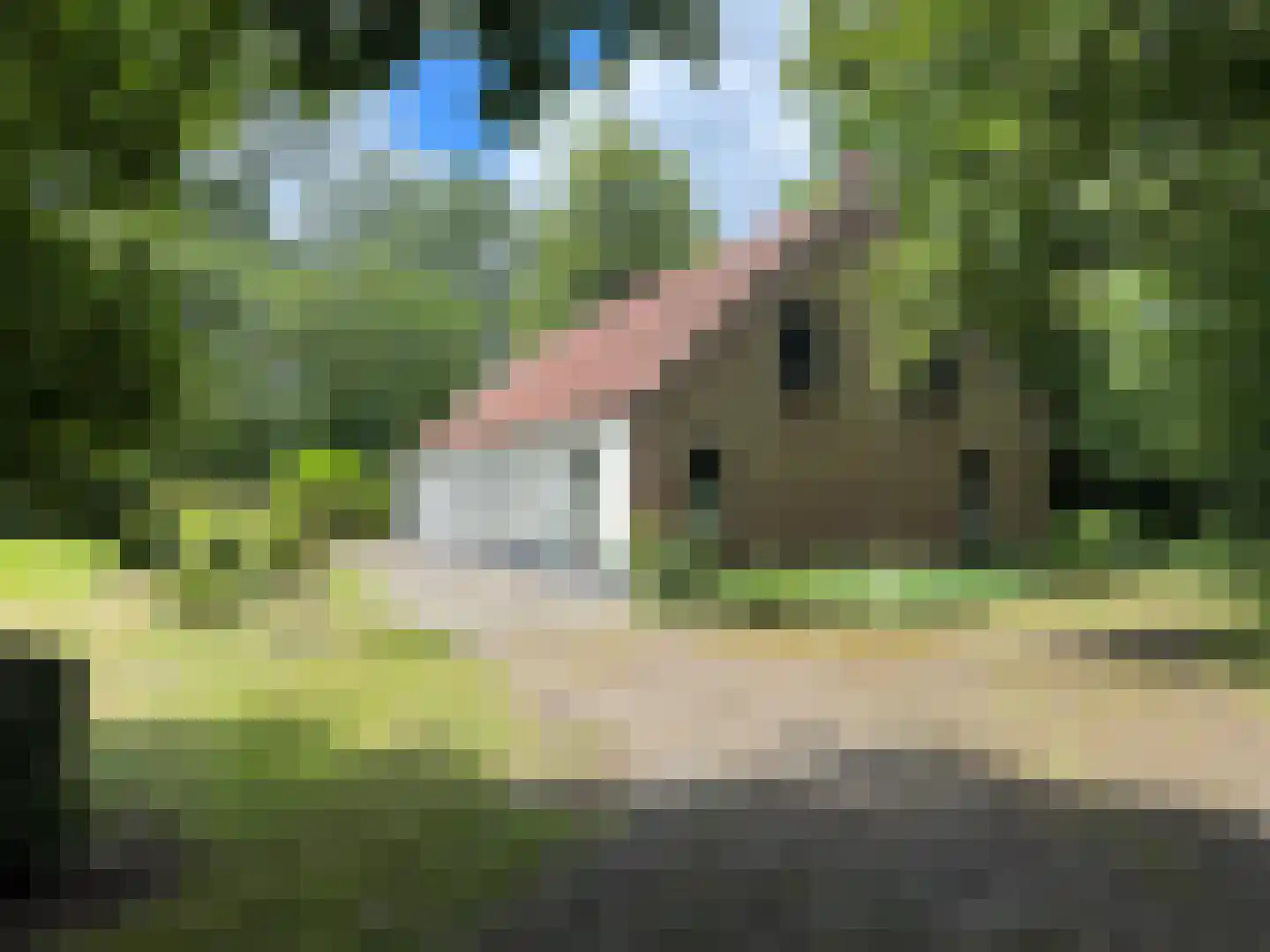 Weijereind 1 Reusel thumbnail 10