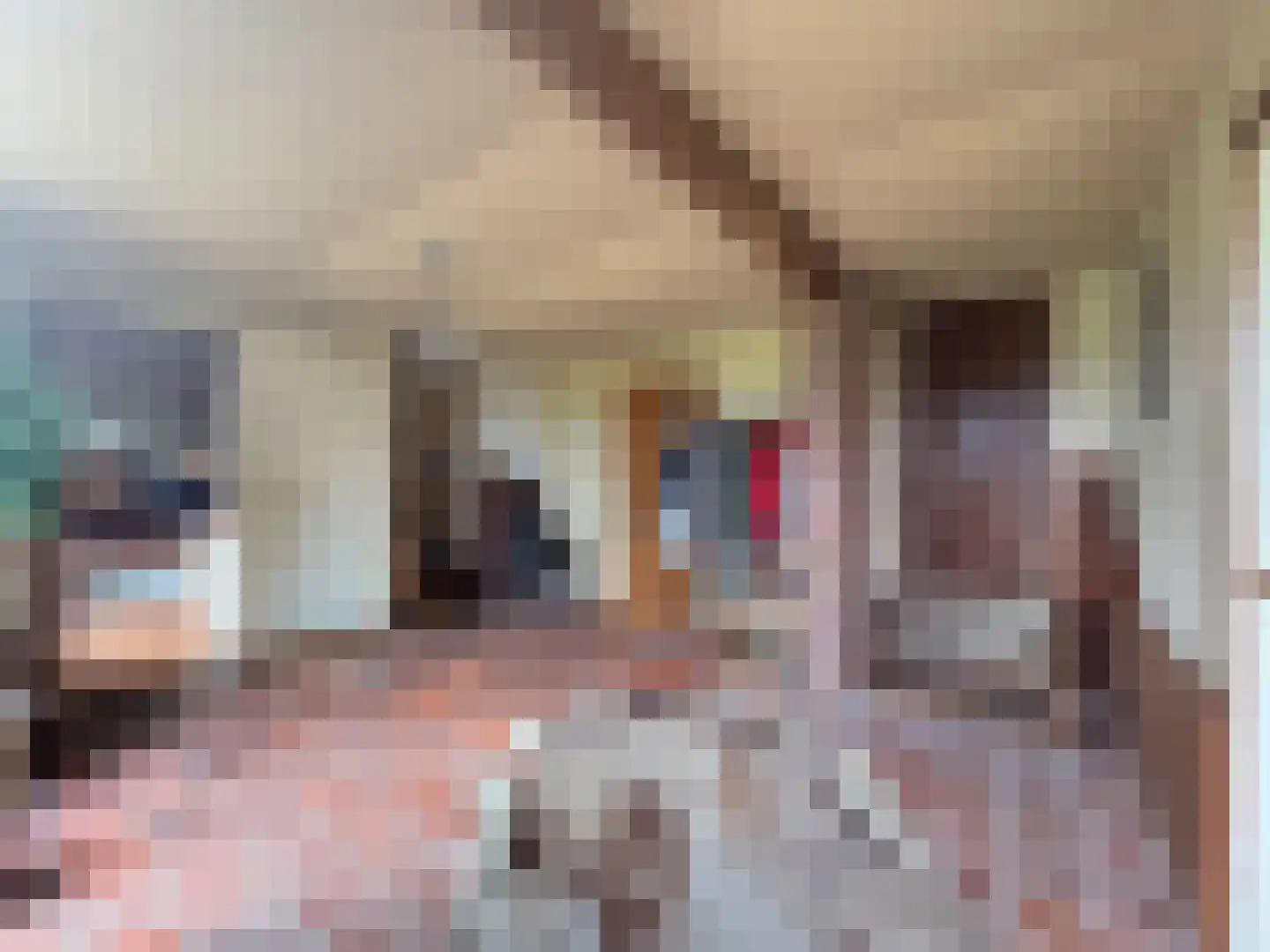 Weijereind 1 Reusel thumbnail 11