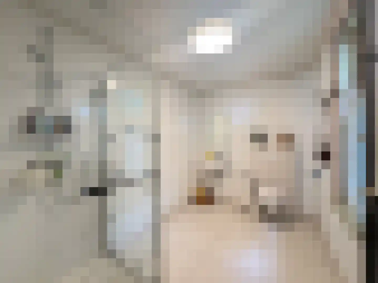 Weijereind 1 Reusel thumbnail 20