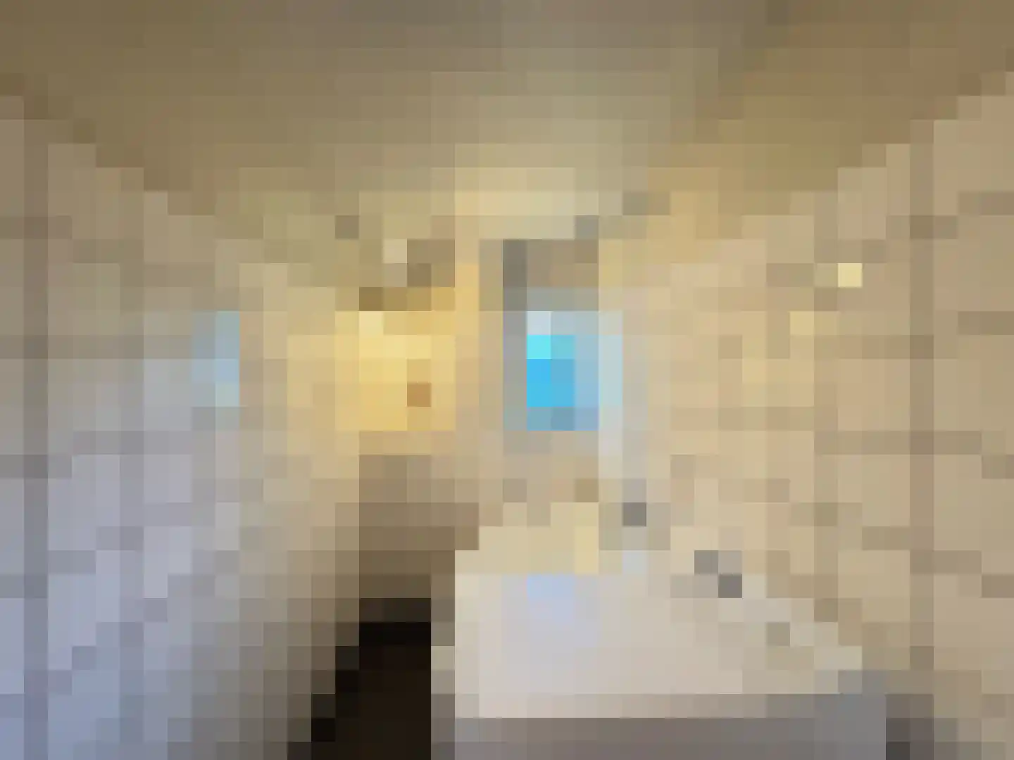 Weijereind 1 Reusel thumbnail 23
