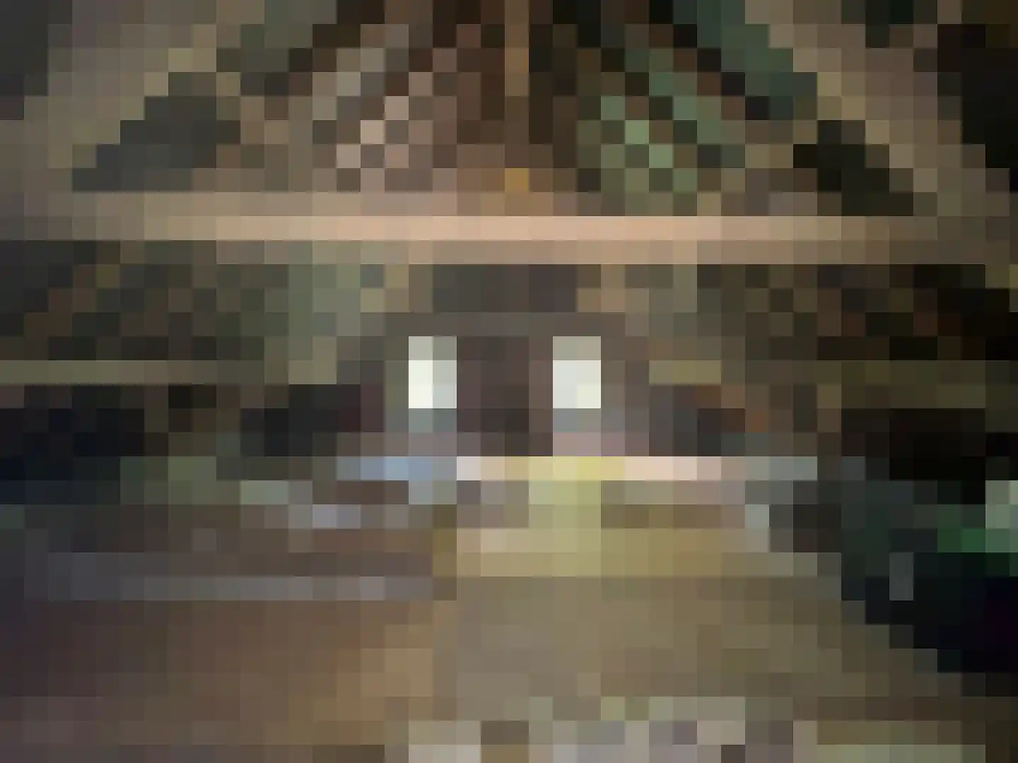 Weijereind 1 Reusel thumbnail 27