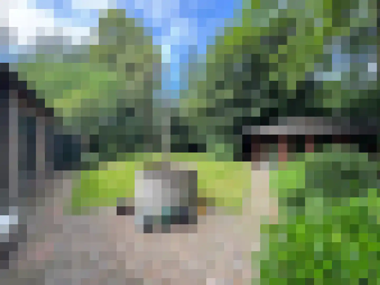 Weijereind 1 Reusel thumbnail 28