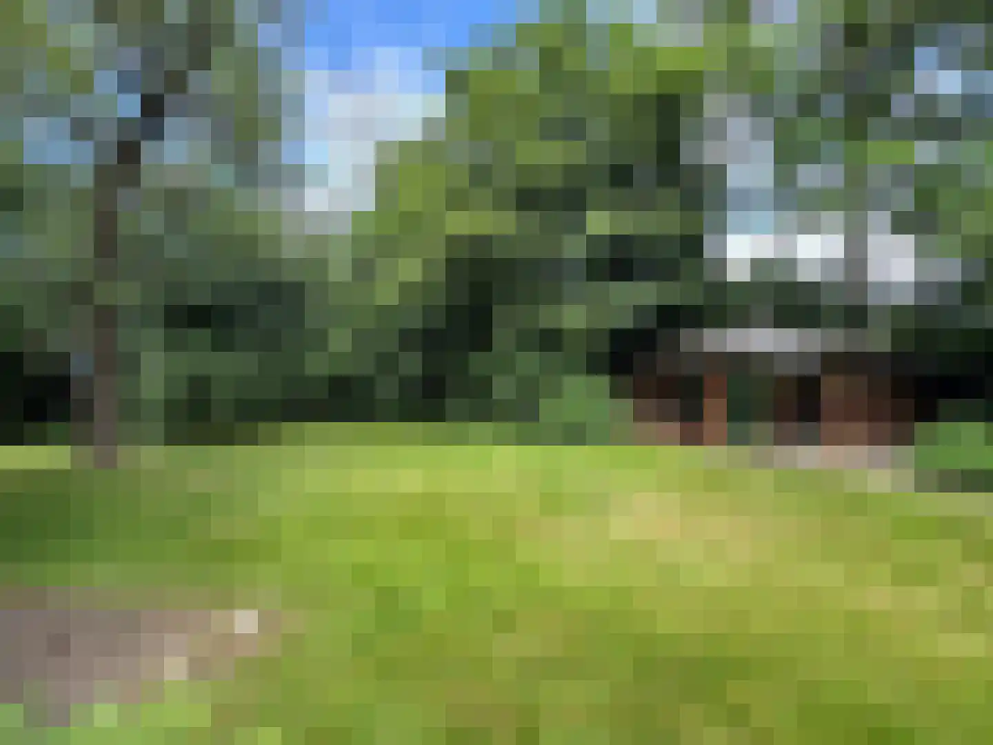 Weijereind 1 Reusel thumbnail 29