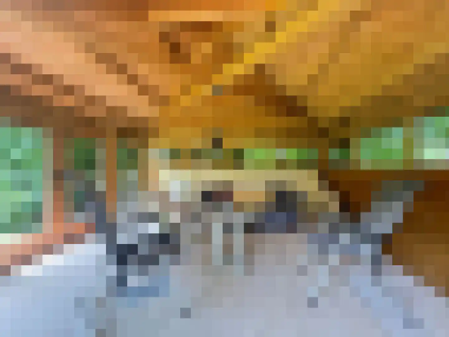 Weijereind 1 Reusel thumbnail 30