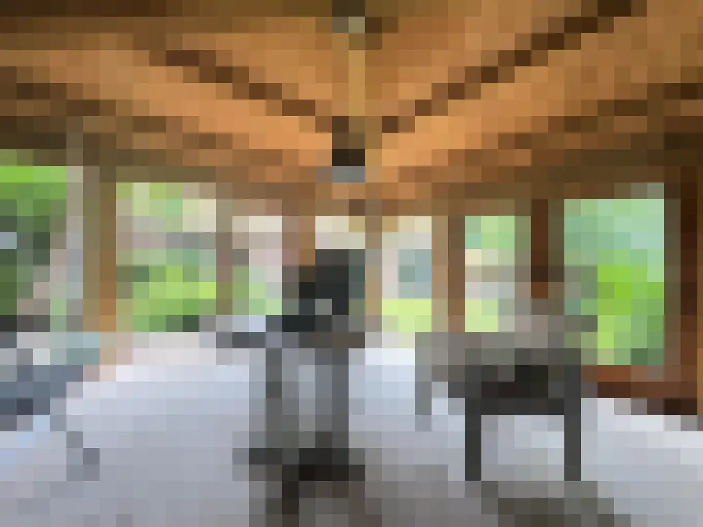 Weijereind 1 Reusel thumbnail 31