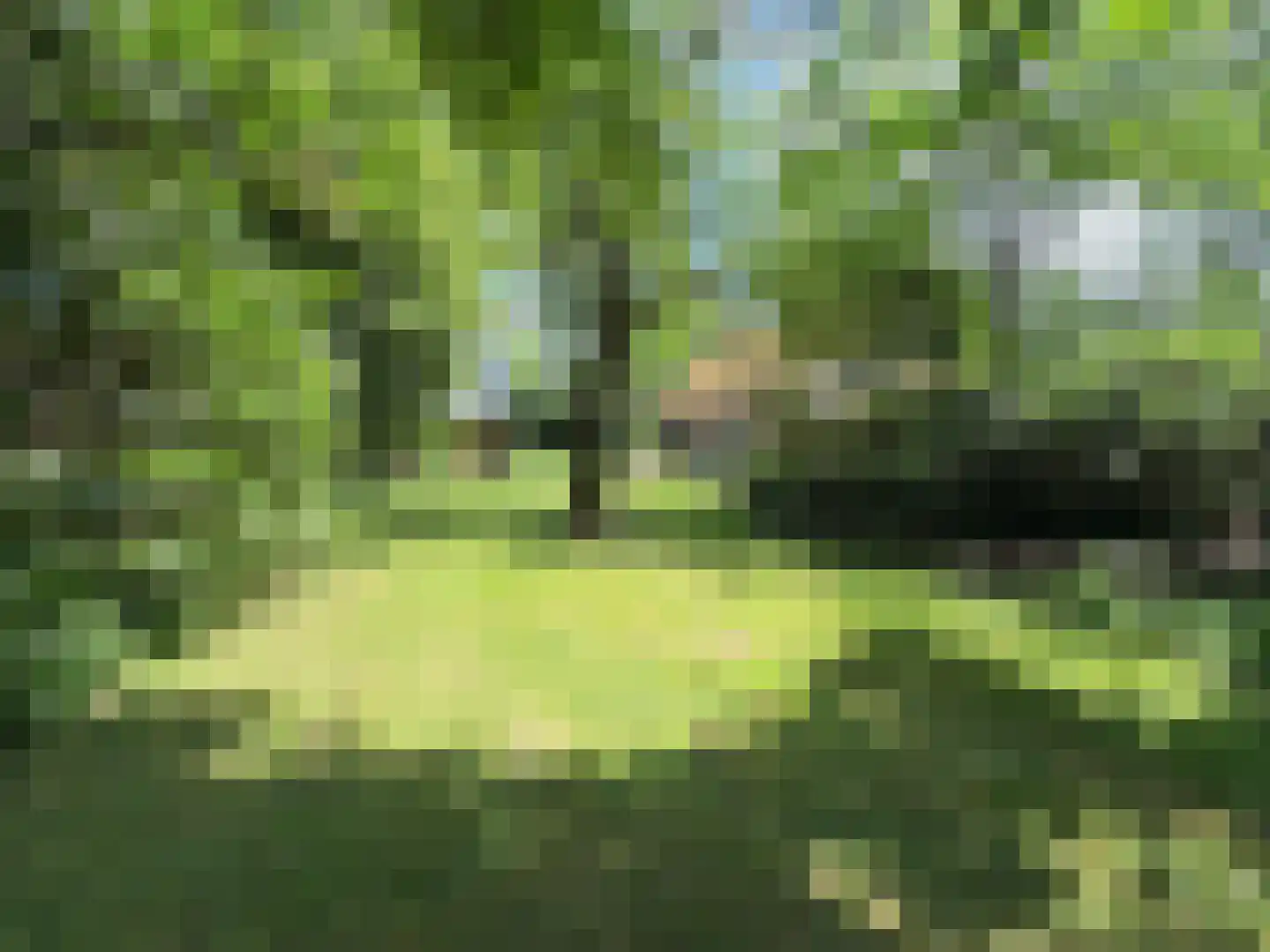 Weijereind 1 Reusel thumbnail 33