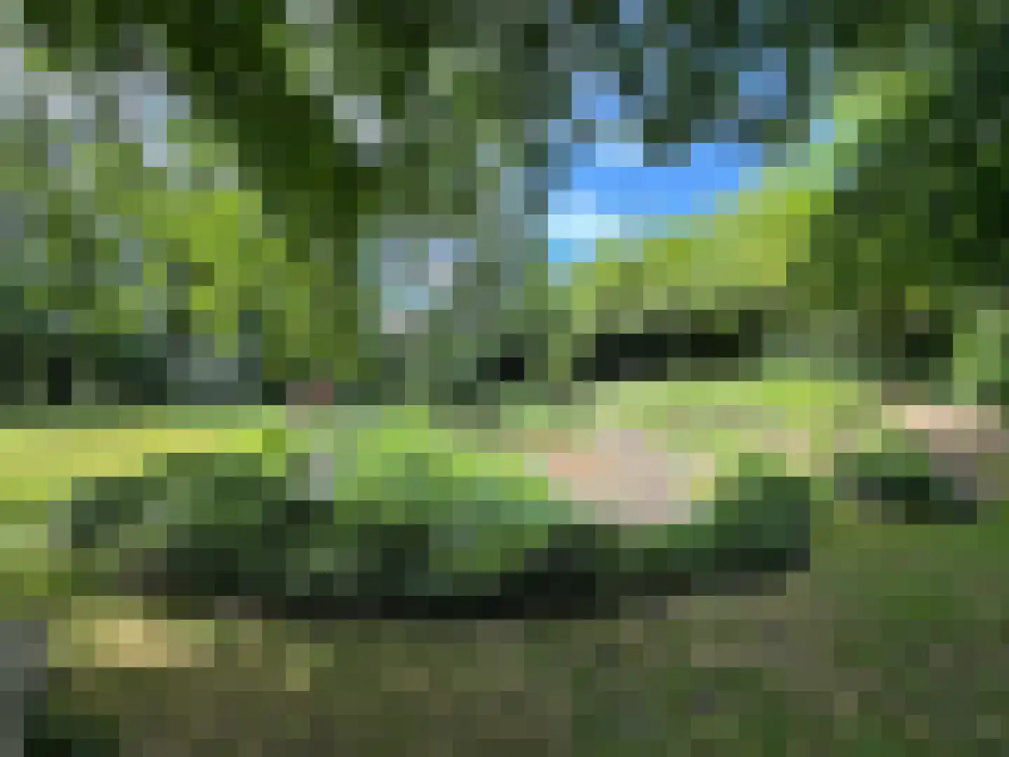 Weijereind 1 Reusel thumbnail 35