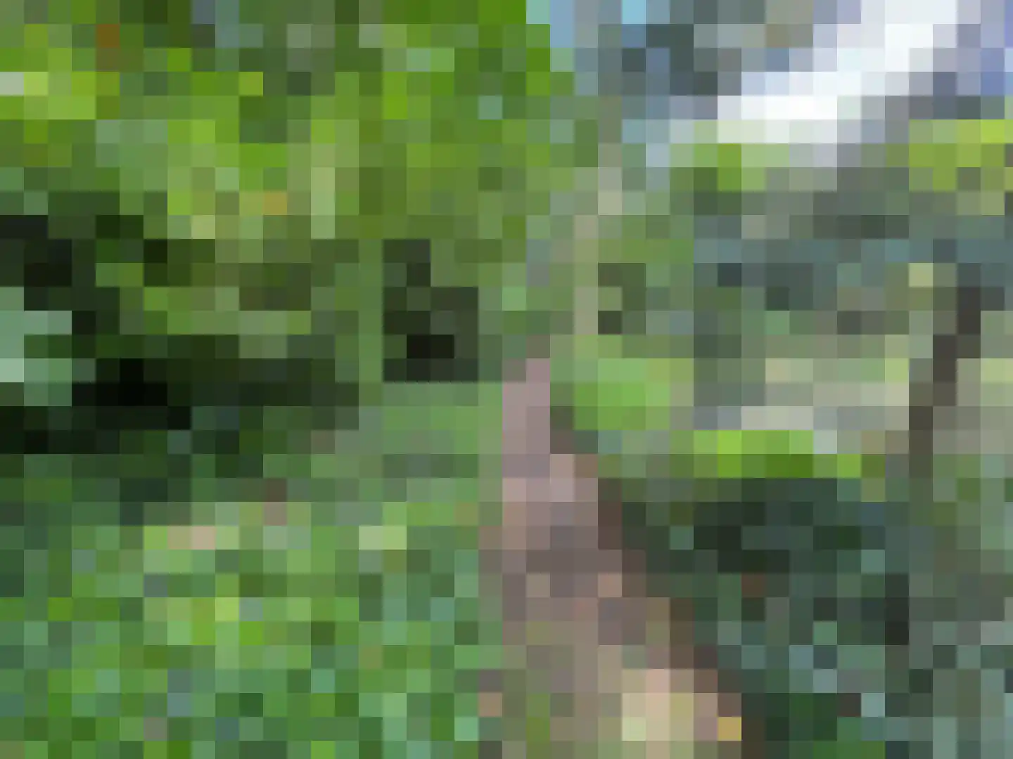 Weijereind 1 Reusel thumbnail 36