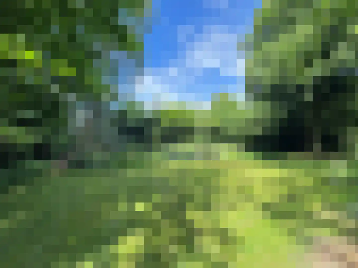 Weijereind 1 Reusel thumbnail 38