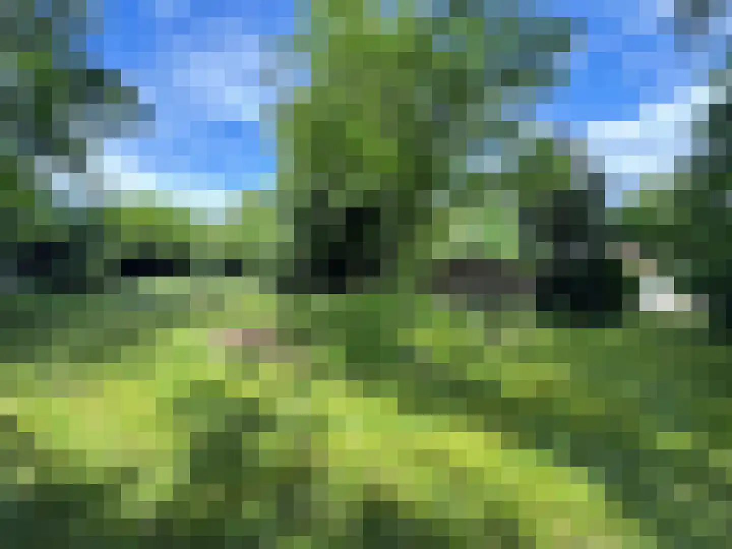 Weijereind 1 Reusel thumbnail 39
