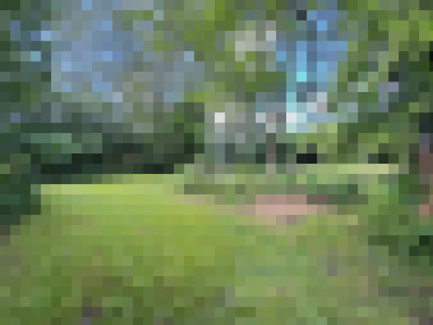 Weijereind 1 Reusel thumbnail 40