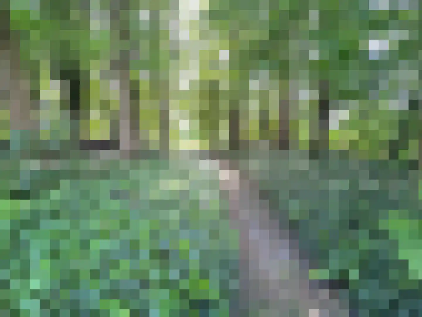 Weijereind 1 Reusel thumbnail 41