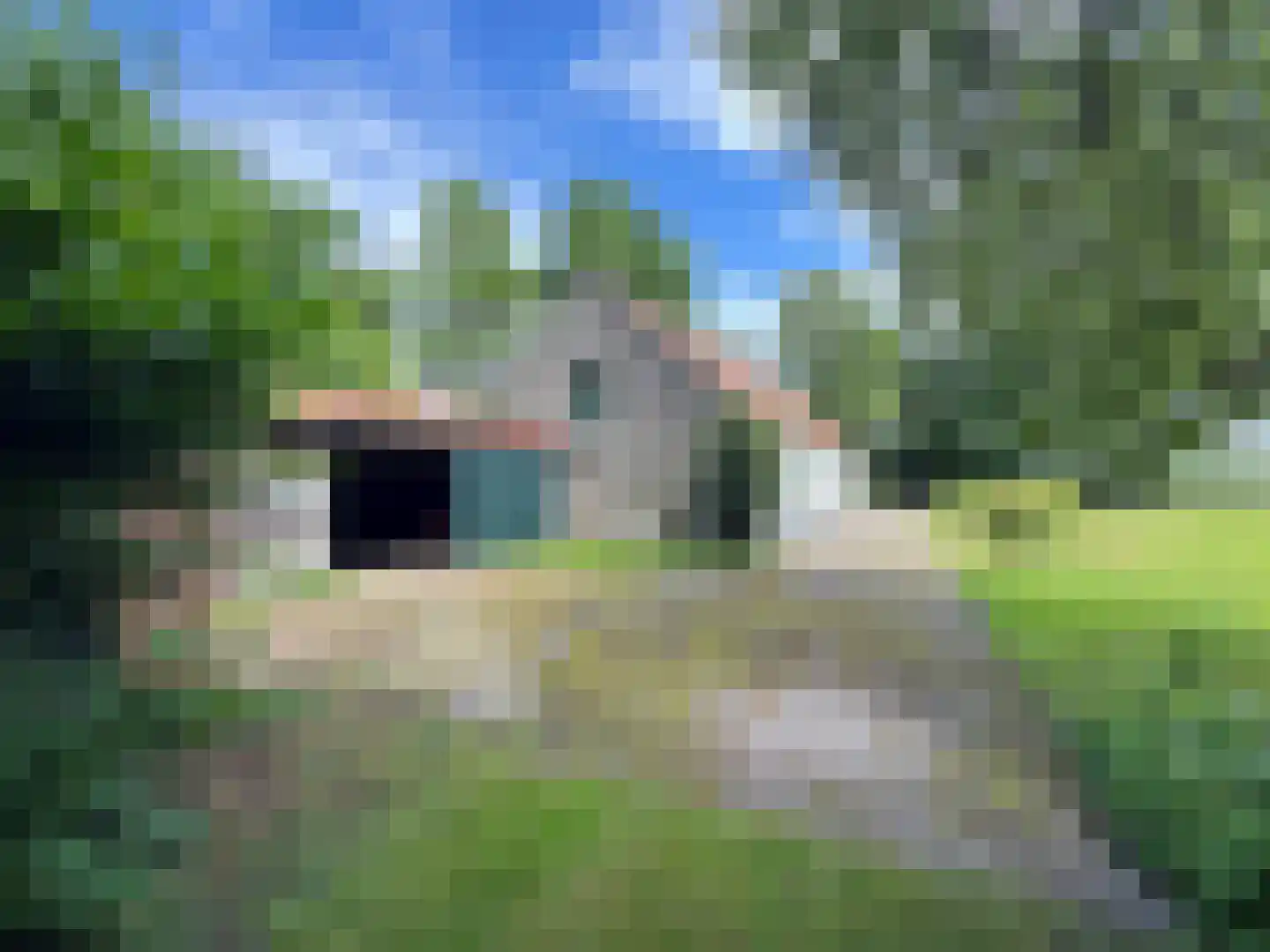 Weijereind 1 Reusel thumbnail 9