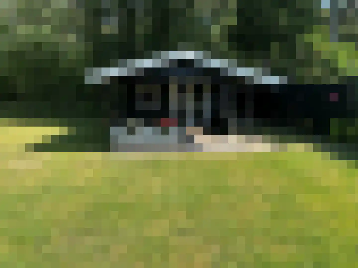 Weijerswold 24 Coevorden thumbnail 30