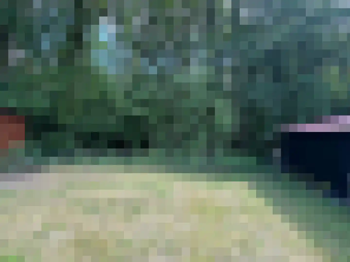Weijerswold 24 Coevorden thumbnail 32