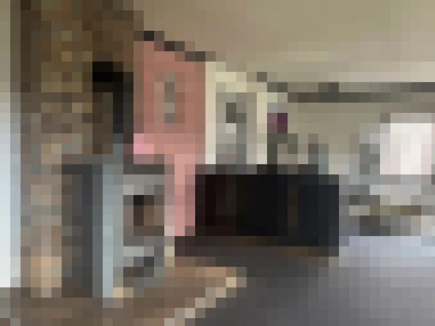 Weijerswold 24 Coevorden thumbnail 9
