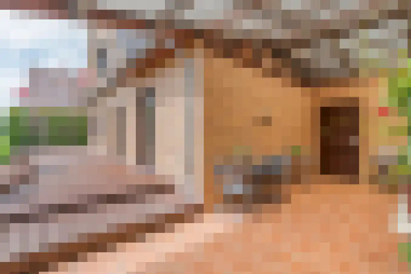 Weijerswold 65 Coevorden thumbnail 41