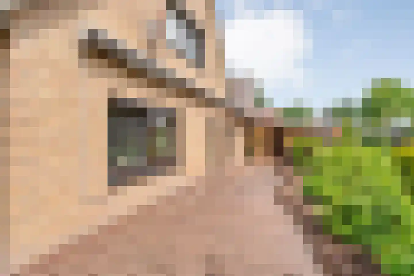 Weijerswold 65 Coevorden thumbnail 44