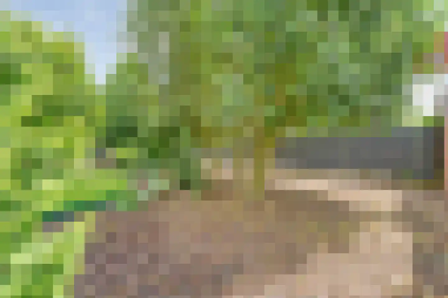 Weijerswold 65 Coevorden thumbnail 50