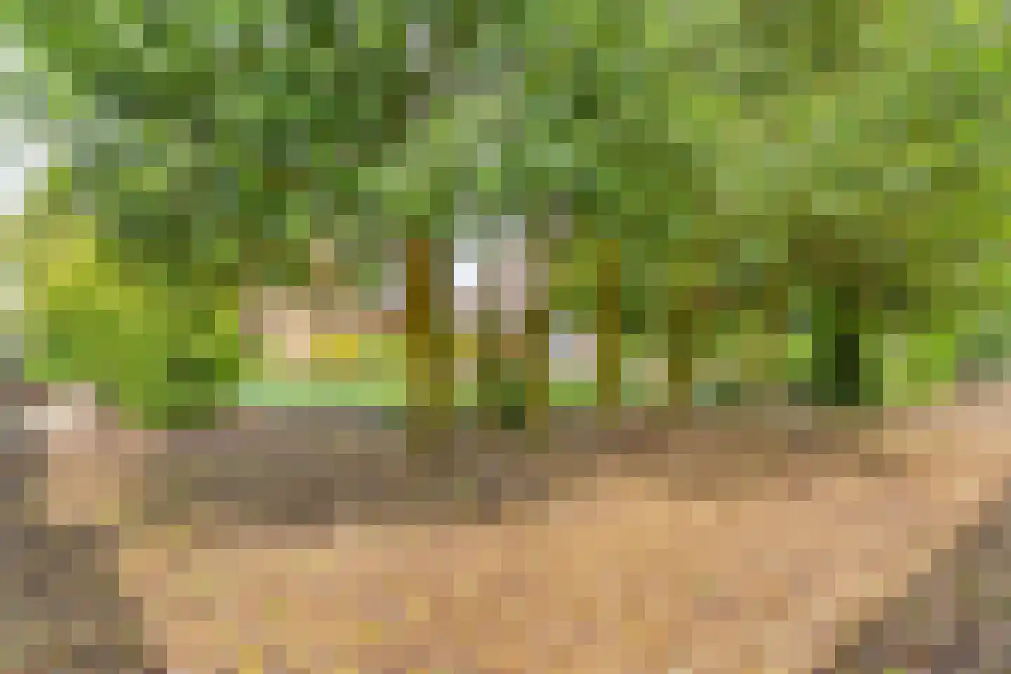 Weijerswold 65 Coevorden thumbnail 51