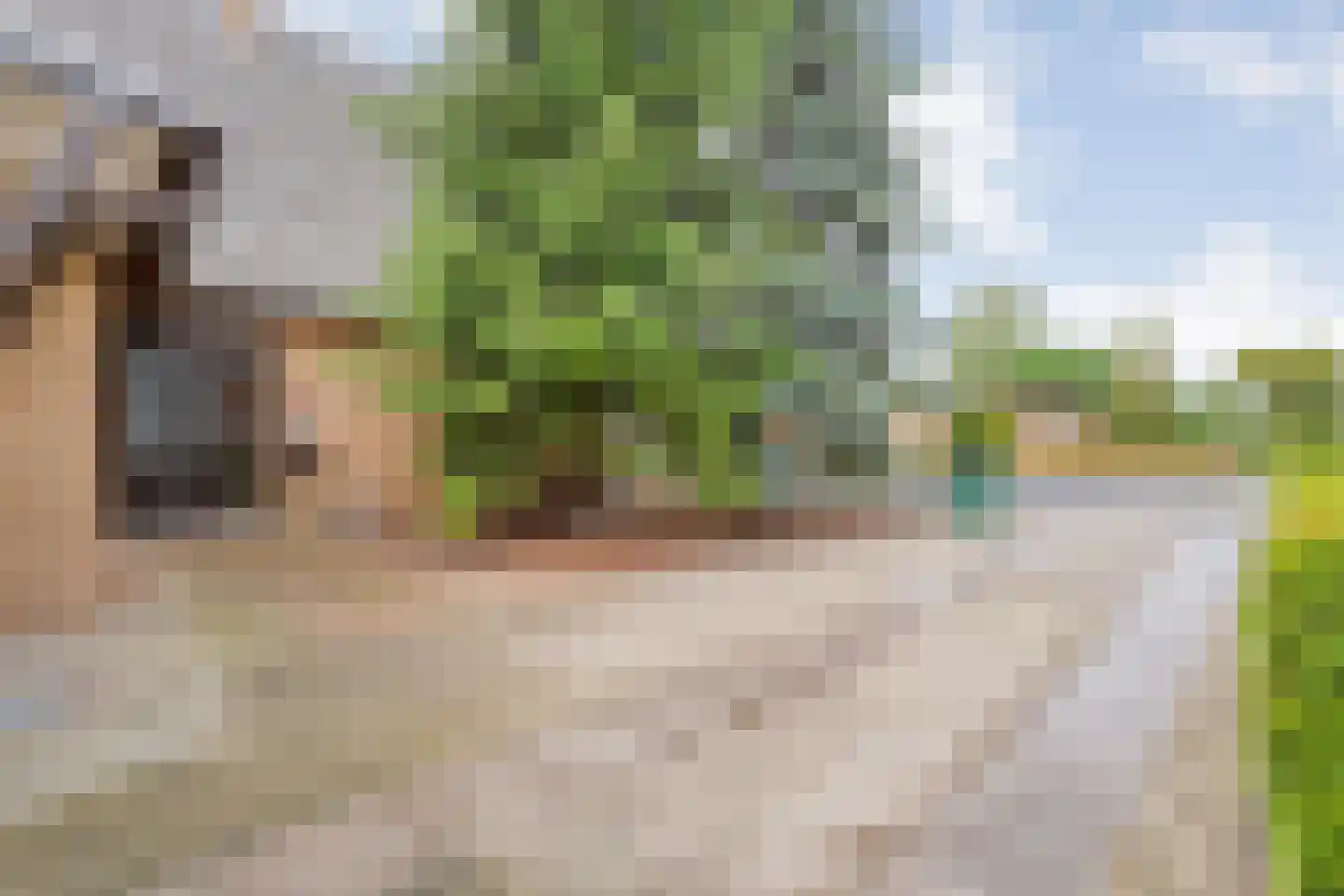Weijerswold 65 Coevorden thumbnail 6
