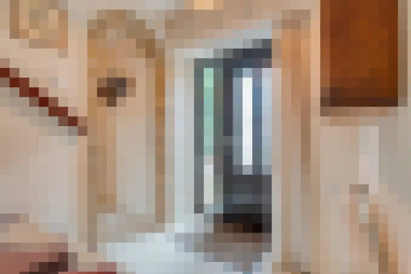Weijerswold 65 Coevorden thumbnail 8