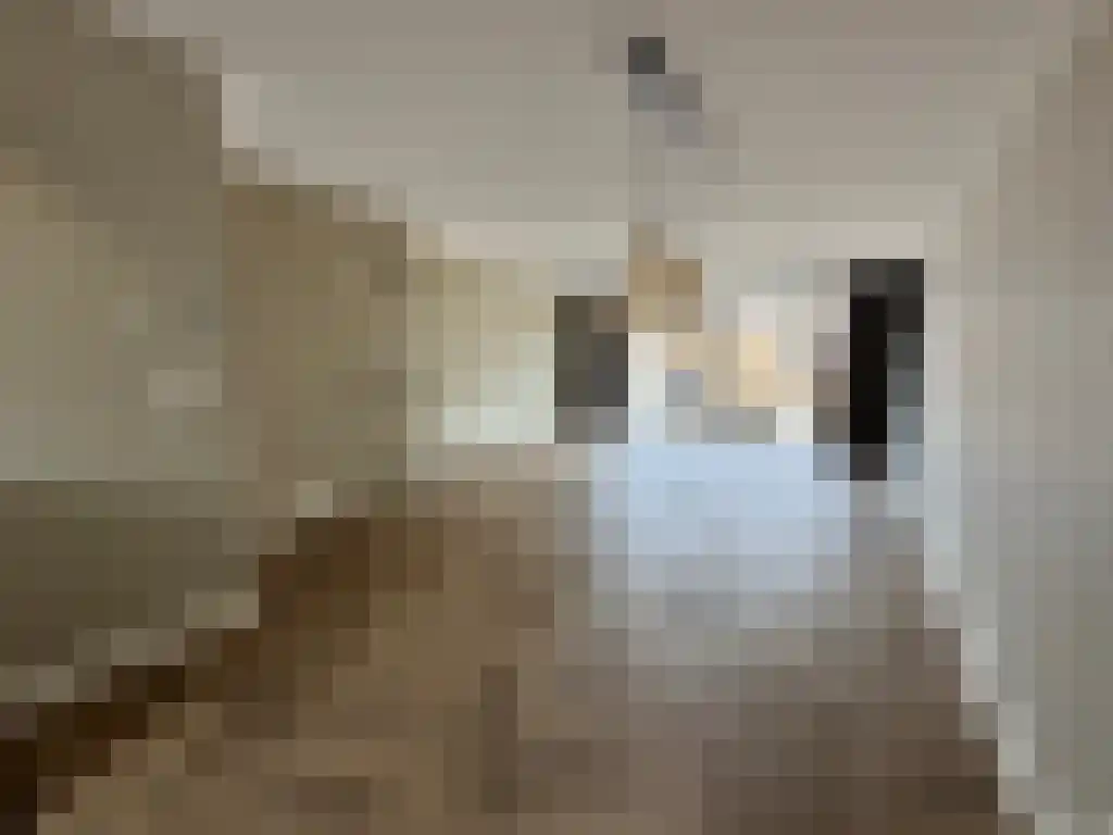 Weijland 14 Spierdijk thumbnail 5