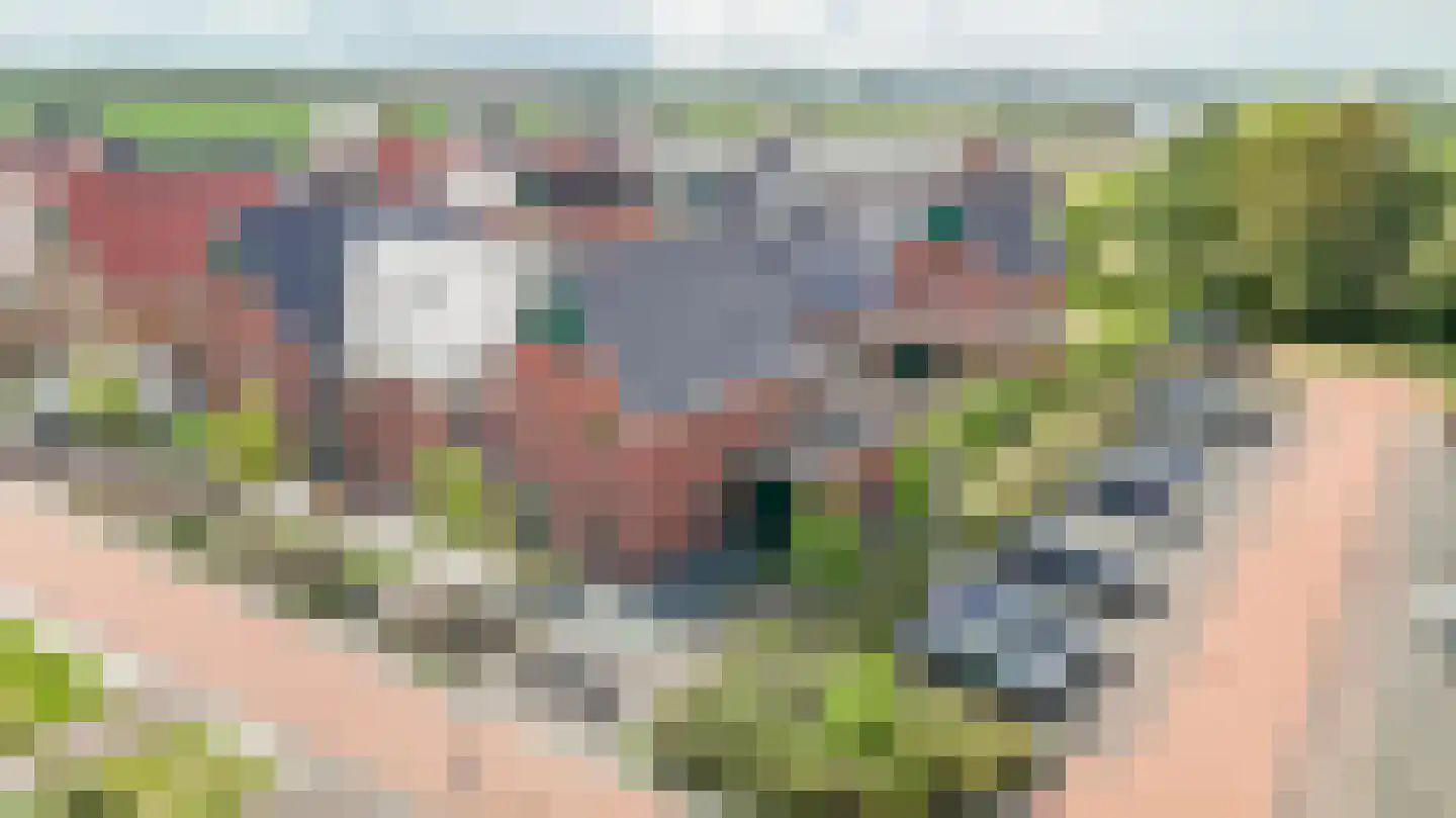 Weijland 15 Spierdijk thumbnail 43